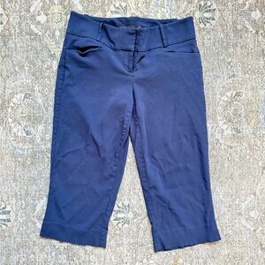 The Limited Exact Stretch Capri Trousers Size 2